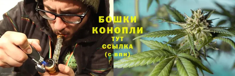 Бошки марихуана THC 21%  Куртамыш 